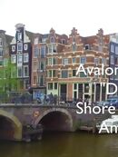 Channel Your Inner Van Gogh on this Avalon Discovery Shore Excursion in Amsterdam
